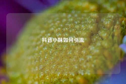 抖音小妹如何引流