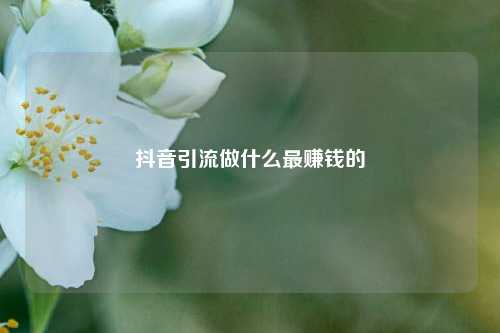 抖音引流做什么最赚钱的