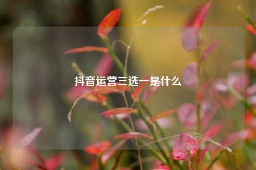 抖音运营三选一是什么