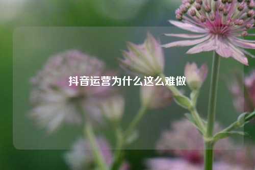 抖音运营为什么这么难做