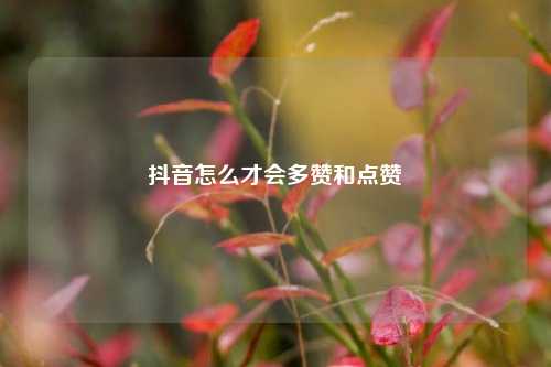 抖音怎么才会多赞和点赞