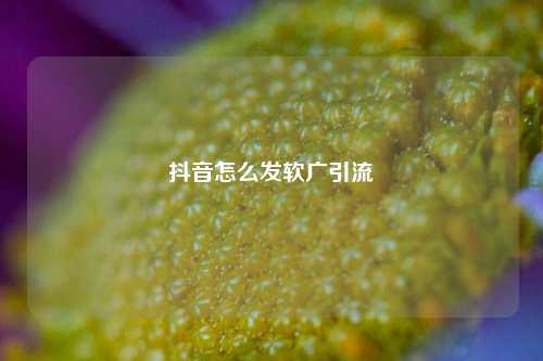 抖音怎么发软广引流