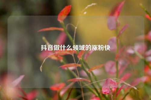 抖音做什么领域的涨粉快