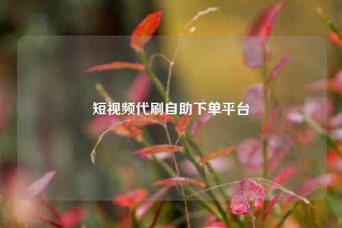 短视频代刷自助下单平台