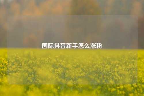国际抖音新手怎么涨粉