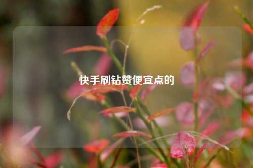 快手刷钻赞便宜点的