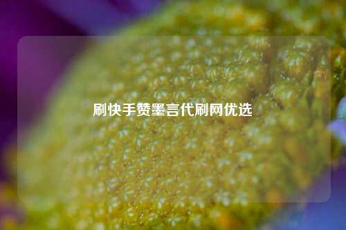 刷快手赞墨言代刷网优选